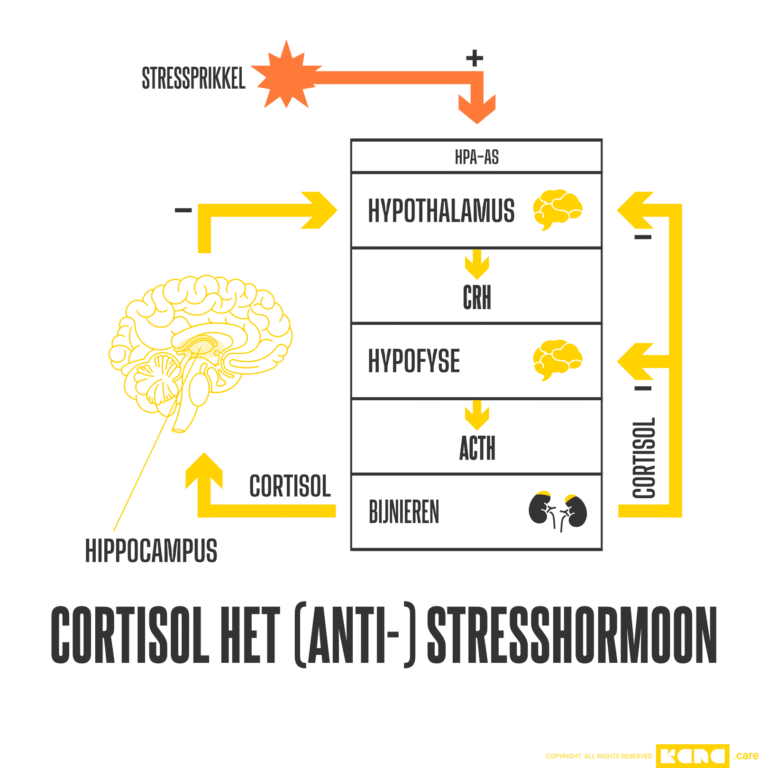 hpa as cortisol link